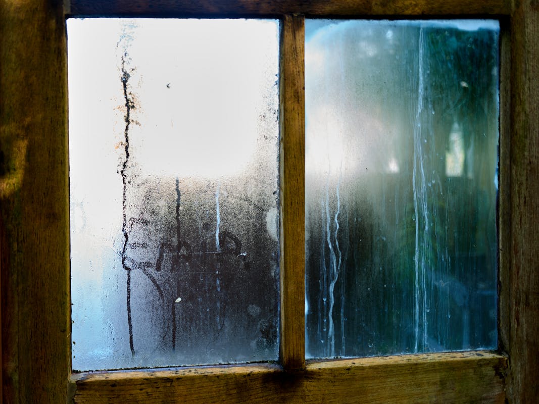 Condensation and moisture streaks on a wooden window frame illustrating high basement humidity